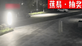 【每日普法】不懂法的奇葩异事第一期
